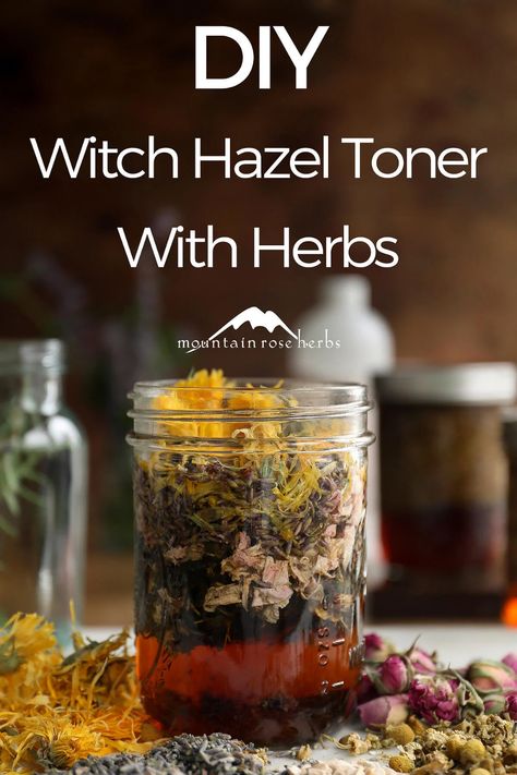 DIY Herb-Infused Witch Hazel Homemade Witch Hazel, Mountain Rose Herbs Recipes, Diy Witch Hazel, Herb Infused Oils, Witch Hazel Benefits, Diy Witch, Skin Recipes, Witch Hazel Toner, Witchy Women