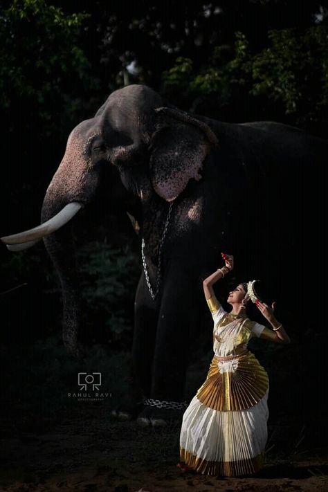 Kerala Elephant Wallpaper, Classical Poses, Kerala Aesthetic, Kerala Elephant, Kerala Piravi, Biker Logo Design, Kerala Photography, Indian Classical Dancer, Elephant Photography