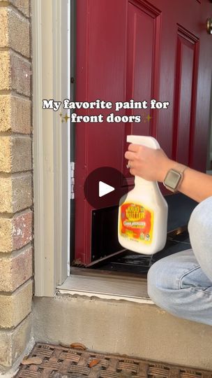 Mountain Diy, Wise Owl One Hour Enamel, Door Redo, Painting Doors, Texas Sun, Painting Hacks, Owl Door, Dark Doors, House Repair