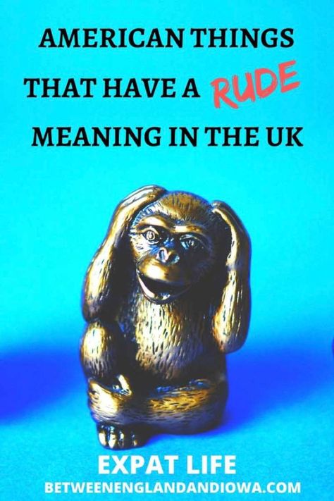 monkey covering ears against a blue background American English Words, British Phrases, American Phrases, British And American English, American Words, Different Meaning, Slang Words, Words And Phrases, Urban Dictionary