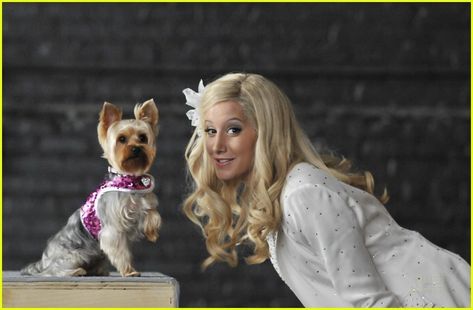 Sharpay Evans, Disney Channel Movies, Ashley Tisdale, Princess Diaries, Boy Dog, Fairy Godmother, Godmother, Disney Channel, Famous People