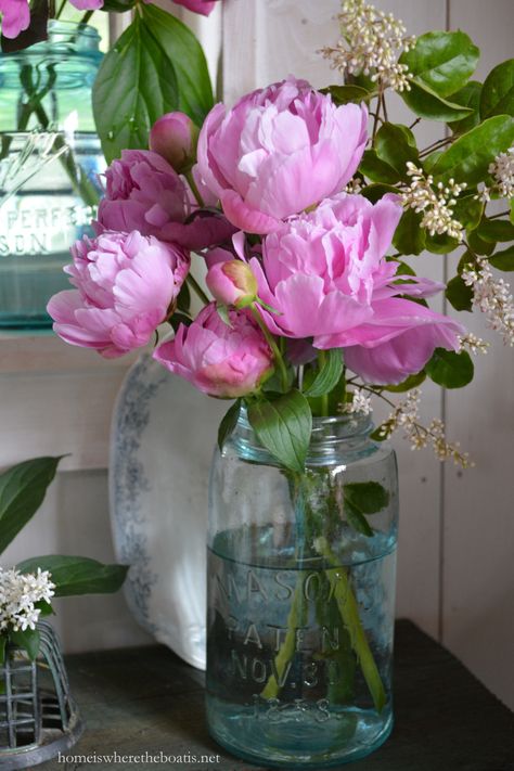 Vase Of Peonies, Flower In Jar, Flowers In A Jar, Flower Jar, Planting Peonies, Big Vases, Watercolor Christmas Tree, Flowers In Jars, Flower Texture