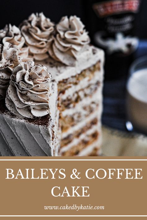 Baileys Irish Cream Chocolate Cake With Kahula Buttercream Frosting, Raspberry Champagne Cake Recipe, Baileys Chocolate Cake Recipe, Liquor Cakes Recipes, Baileys Espresso Cream Cake, Coffee Soaked Cake, Baileys Irish Cream Bundt Cake, Baileys Coffee Cake, Bailey Cake Recipe