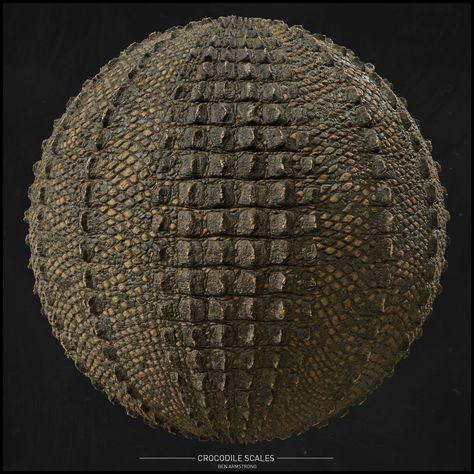 ArtStation - Study: Crocodile Scales, Ben Armstrong Textures Reference, Crocodile Scales, Nature Sculpture, African Warrior, Scale Tattoo, Rock Sculpture, Texture Drawing, Substance Designer, Animal References