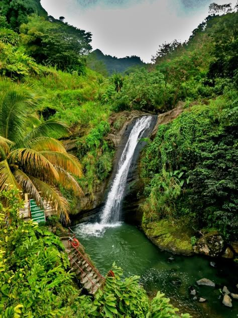 Concord Falls. -one of the best waterfalls in Grenada Abandoned Airport, Grenada Island, Grenada Caribbean, Bday Vibes, Christmas Cruise, Christmas Cruises, Fun Moments, Island Vibes, Travel South