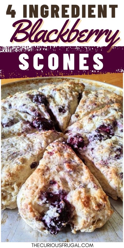 Super quick blackberry scone recipe for Saturday morning or Sunday brunch. These scones are so easy to make, and way more budget friendly compared to buying bakery scones. Using fresh blackberries, they are sweet and flaky and taste like the perfect summer treat! Blackberry Scones Recipe, Berry Scones Recipe, Blackberry Scones, Sweet Scones, Pumpkin Bagels, Peach Scones, 2024 Meals, Blackberry Dessert, Berry Scones