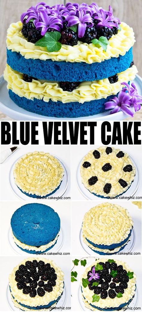 BLUE VELVET CAKE (NAKED CAKE)- Use this cake decorating tutorial to learn how to make a naked cake with buttercream icing, fresh fruits and flowers. Easy wedding cake or party cake! From CakeWhiz.com #cake #cakedecorating #icing #frosting #buttercream #dessert #dessertrecipes #blackberries #cakeart #recipe #cakedesign Blue Velvet Cake Recipe Easy, Blue Velvet Cake, Fancy Deserts, Frosting Buttercream, Blue Velvet Cakes, Velvet Cake Recipes, Cake With Buttercream, Fruits And Flowers, Easy Wedding