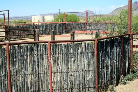 texas cattle fencing - Google Search Garden Fences, Fence Planters, Cedar Posts, Homestead Life, Rustic Fence, Natural Fence, Stable Design, Cheap Fence, Fencing Ideas