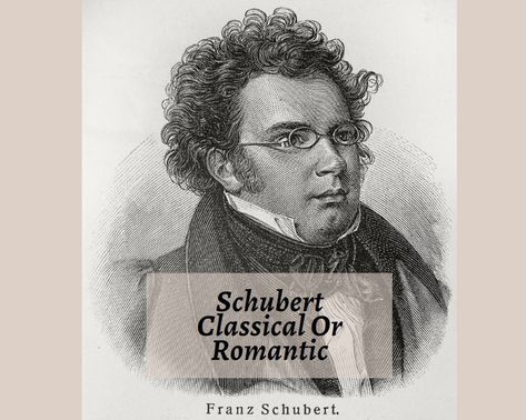 Franz Schubert Classical Or Romantic Composer? - CMUSE Wanderer Fantasy, Antonio Salieri, Romantic Composers, German Songs, Music Writing, String Quartet, Music Producer, Violinist, Types Of Music