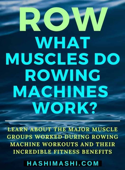 What Muscles Do Rowing Machines Work - Learn about the major muscle groups worked during rowing machine workouts + their incredible fitness benefits. rowing muscles worked | rowing machine muscles worked | what muscles do rowing machines work Row Machine Workout, Rowing Machine Workout Benefits, Row Machine Benefits, Rowing Workouts, Before And After Workout, Machine Workouts, Muscle At Home, Build Muscle At Home, Weights At Home