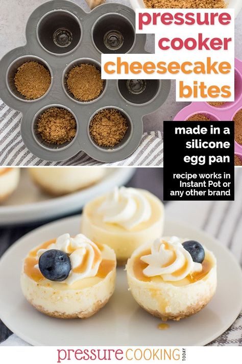 Pressure Cooker Cheesecake, Instant Pot Cheesecake, Mini Cheesecake Bites, Cheesecake Bites Recipe, Pressure Cooking Today, Egg Bites Recipe, Pampered Chef Recipes, Pot Recipes Easy, Recipes Beef