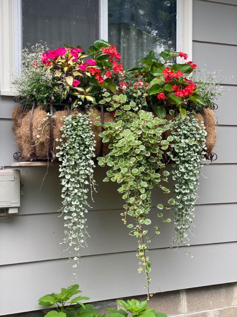 Window Flowers Outdoor, Metal Window Boxes Wrought Iron, Window Baskets Ideas, Window Garden Outdoor, Window Basket Flowers, Plants Outside Window, Window Planter Ideas, Iron Window Boxes, Northern Garden