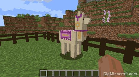 Decorate your llama with any color of carpet in Minecraft 1.11 Llama House Minecraft, Minecraft Llama Farm, Minecraft Llama, Llama Carpets Minecraft, Fortnight Llama, Llama Alpha Pattern, Iron Golem, Llama Decor, Minecraft 1