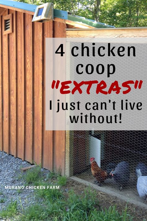 4 Chicken Coop, Cute Chicken Aesthetic, Chicken Drawing Cute, Chicken Animation, Cute Chicken Drawing, Chicken Aesthetic, Cute Chicken Coops, Easy Chicken Coop, Chicken Drawing