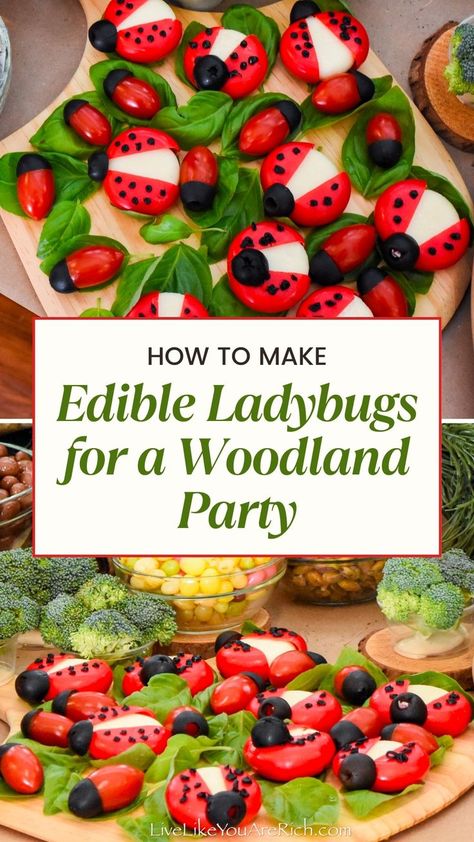 These edible ladybugs would be great for a garden party, zoo party, fairy party or other types of parties as well. They were so simple and inexpensive. My daughters enjoyed making these together. Animal Food Ideas For Party, Wilderness Food Ideas, Woodland Party Drinks, Woodland Veggie Tray Ideas, Woodland Picnic Party, Animal Themed Appetizers, Woodland Snacks For Party, Nature Themed Party Food, Woodland Theme Snacks