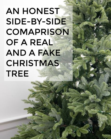 Real Xmas Trees, Costco Christmas, Balsam Hill Trees, Balsam Fir Christmas Tree, Balsam Tree, Tree Fillers, Balsam Hill Christmas Tree, Unlit Christmas Trees, Full Christmas Tree