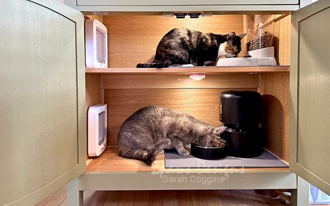 Feeding Cabinet for Two Cats - 2paws Designs Cat Feeding Box, Cat Food Station, Easy Strawberry Lemonade, Cat Projects, Blue Velvet Cakes, Diy Bee, Cat Feeding Station, Disney Cruise Door, Easter Snacks