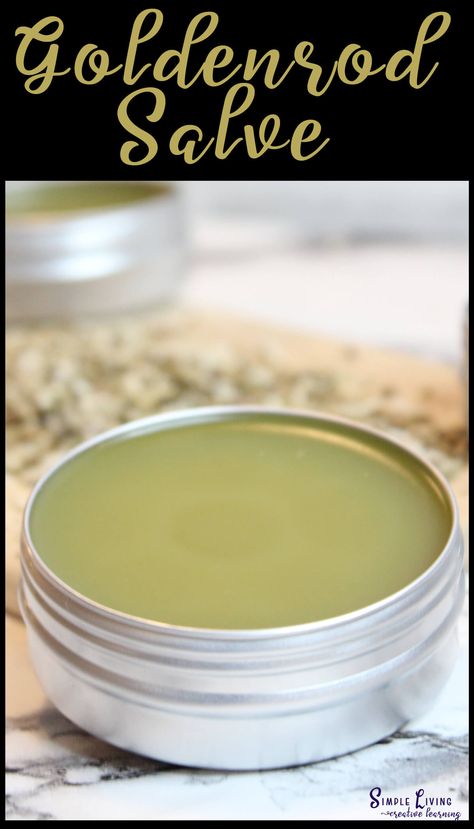 Muscle aches, spasms, or just need a little TLC?  Introducing our DIY Goldenrod Salve – your go-to remedy for helping reduce inflammation and fighting infections!  This all-purpose healer is just what you need for those minor scrapes and scratches.   https://simplelivingcreativelearning.com/diy-homemade-goldenrod-salve/ Goldenrod Salve Uses, Golden Rod Uses, Goldenrod Salve Recipe, Goldenrod Salve, Apothecary Ideas, Herbal Salve Recipes, Herbal Medicine Recipes, Healing Salve, Herbal Remedies Recipes