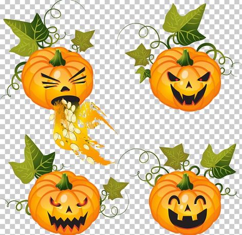 Clip Art Pumpkin Free Printable, Pumpkin Png Aesthetic, Halloween Clipart Pumpkins, Pumpkin Vector Illustration, Transparent Halloween Png, Halloween Jack O Lanterns, Halloween Jack, Jack O, Free Png