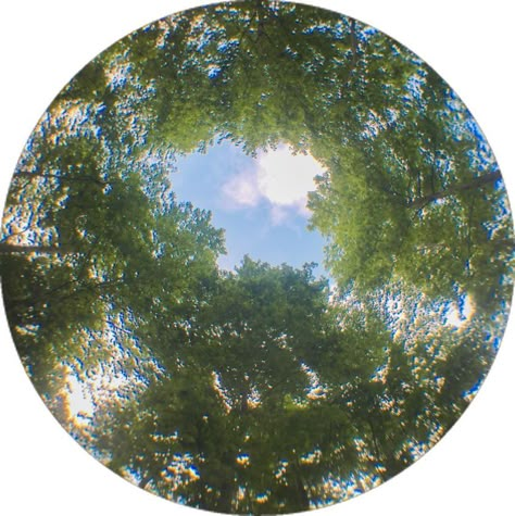 Funny Round Pfp, Nature Pfp Aesthetic, Circle Pictures Aesthetic, Nature Icons Aesthetic, Circle Aesthetic Icon, Square Profile Pictures, Cool Instagram Profile Pics, Circle Icons Aesthetic, Green Profile Pic