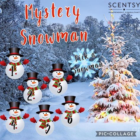 Mystery Bags Scentsy, Scentsy Games, Spring Packing, Fb Games, Christmas Mystery, Red Pear, Party Picks, Mystery Bag, Scented Wax Warmer