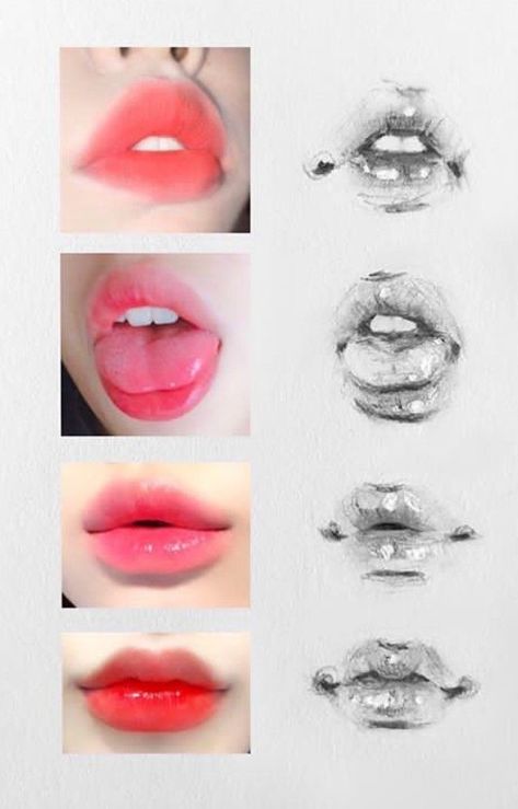 Beautiful Pencil Drawings, Mouth Drawing, Art Drawing Sketch, Lips Drawing, Drawing Stuff, Bts Drawings, Anatomy Art, Art Tutorials Drawing, Digital Art Tutorial