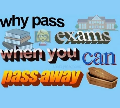 How To Pass Exams, Lol Memes, Jokes Pics, Funny Reaction Pictures, Some Funny Jokes, Quick Jokes, Internet Funny, What’s Going On, Really Funny Pictures