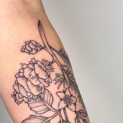 Oregon Tattoo, Branch Tattoo, Plant Tattoo, Botanical Tattoo, Douglas Fir, Blackberry, Body Art, Tattoos, On Instagram