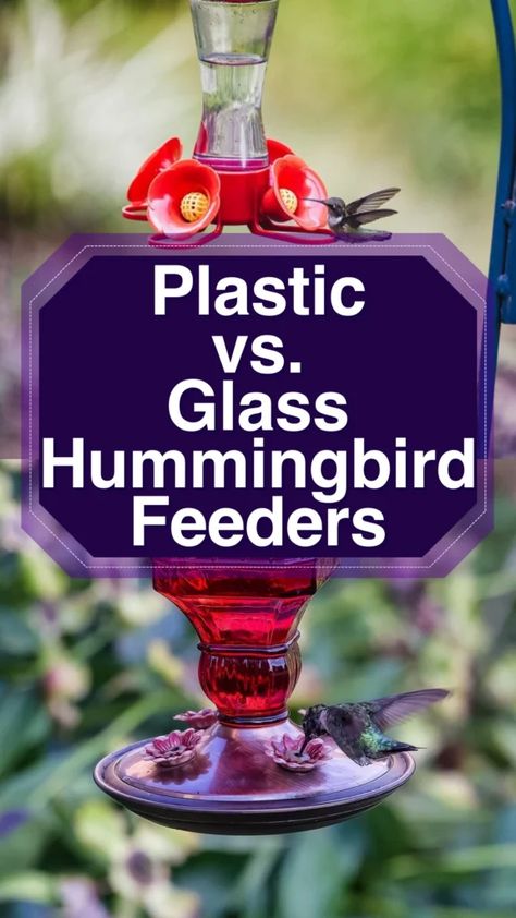 Hummingbird Feeder Hanging Ideas, Hummingbird Feeder Ideas, Hummingbird Feeder Diy, Homemade Hummingbird Feeder, Diy Hummingbird Feeder, Hummingbird Food, Glass Bird Feeders, Glass Hummingbird Feeders, Attract Hummingbirds