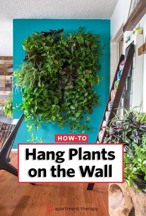 Plants On The Wall, Wall Plants Indoor, Vertical Plant Wall, Hanging Plants Diy, Indoor Plant Wall, Vertical Vegetable Garden, Trendy Plants, Vertical Herb Garden, Indoor Vegetable Gardening