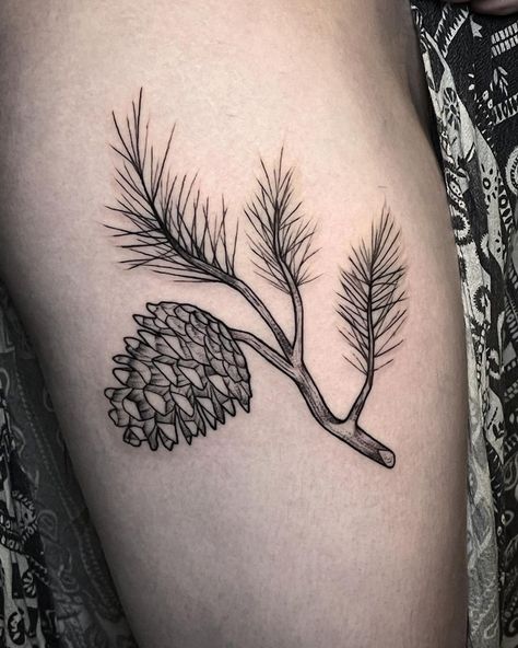 Hay Bale Tattoo, Pine Cone And Needles Tattoo, Pine Cone Tattoo Design, Pine Needle Tattoo Branches, Pine Leaves Tattoo, Michigan Inspired Tattoos, Pine Tattoo Branch, Pine Leaf Tattoo, Pine Cone Tattoo