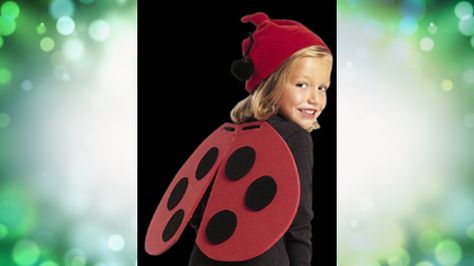 Diy Ladybug Wings, Diy Ladybug, Ladybug Wings, Sew Halloween Costume, Bug Costume, Ladybug Costume, Book Character Costumes, Diy Halloween Costumes For Kids, Diy Kostüm