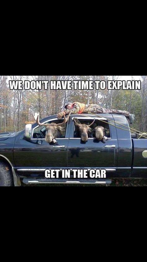 deer hunting season Funny Hunting Pics, Deer Hunting Humor, Hunting Jokes, Meanwhile In Canada, Funny Deer, Hunting Humor, Archery Hunting, Funny Animal Jokes, Hunting Season