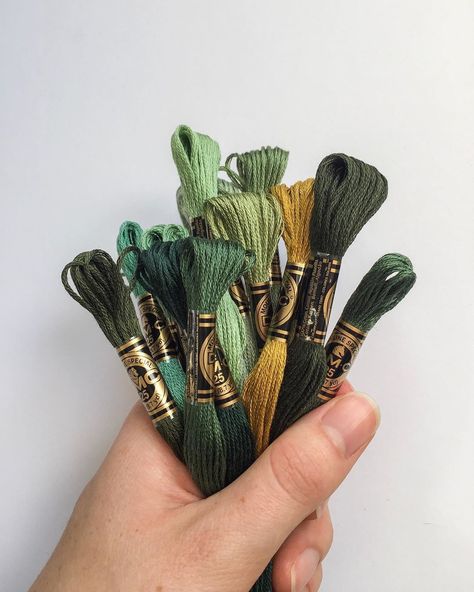 We love this collection of DMC threads in a green colour palette. Photo by @cait_handmade Scissors Crafts, Green Colour Palette, Dmc Thread, Dmc Floss, Green Colour, Embroidery Floss, Embroidery Thread, Colour Palette, Green Colors