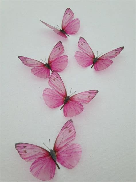 Butterfly Picture Frame, Borboleta Tattoo, 3d Butterfly Wall Art, 3d Butterfly Tattoo, Art Papillon, Tattoo Butterfly, Pink 3d, Butterfly Images, Butterfly Tattoo Designs