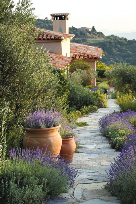 Mediterranean Landscaping Ideas are an eco-friendly and stunning choice for any yard! 🌿🌞 Filled with drought-resistant plants and vibrant hues, these landscapes offer a beautiful and sustainable way to enjoy your outdoor spaces. Low-maintenance and rich in Mediterranean flair, they are perfect for creating a serene and inviting environment. Transform your garden with Mediterranean landscaping today! 🌺🌵 #MediterraneanLandscaping #EcoFriendlyLiving #GardenDesign #OutdoorBeauty Garden Design European, Rustic Mediterranean Garden, Semi Arid Landscaping Ideas, Low Maintenance Landscape Ideas Backyard, European Garden Landscaping, No Water Landscaping, Tuscan Garden Ideas, Greek Garden Ideas, Small Mediterranean Garden