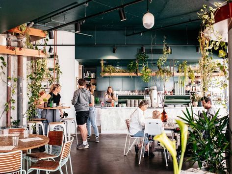 15 Best Gold Coast Cafes for Brunch - Australian Traveller Australian Cafe, Australia Cafe Interior, Australian Cafe Food, Gold Coast Lifestyle, Cafe Gold, Gold Coast Restaurants, Top Cafe, Fresh Cake, Gold Coast Australia