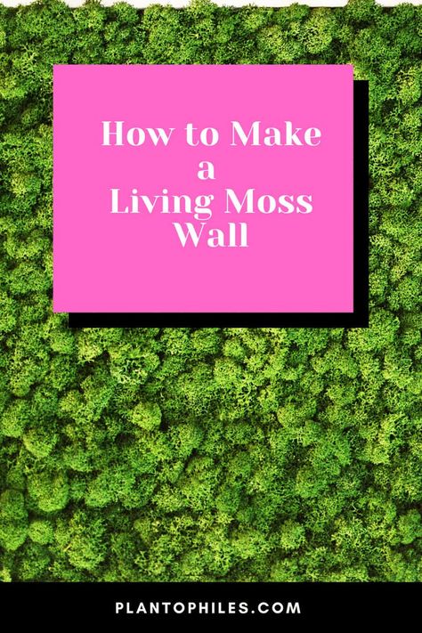 How to Make a Living Moss Wall Live Moss Wall Art Diy How To Make, Diy Living Moss Wall Art, Living Walls Outdoor Diy, Diy Live Moss Wall Art, Diy Living Moss Wall, How To Make A Moss Wall, Moss Wall Bathroom, Moss Wall Diy, Moss Wall Art Diy How To Make