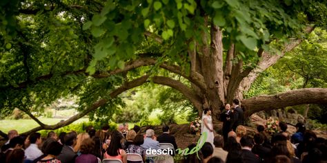 Morris Arboretum Wedding, Best Wedding Pictures, Morris Arboretum, Wedding Website Examples, Arboretum Wedding, Miami Wedding Venues, Wedding Decors, Wedding Dance Songs, Wedding Venue Los Angeles