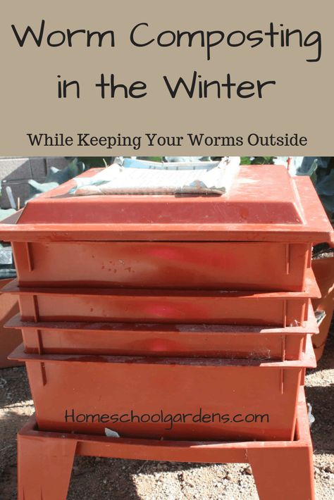 Worm Beds, Worm Composting Bin, Worm Bin, How To Make Compost, Worm Composting, Worm Farm, Garden Compost, Shade Perennials, Healthy Garden