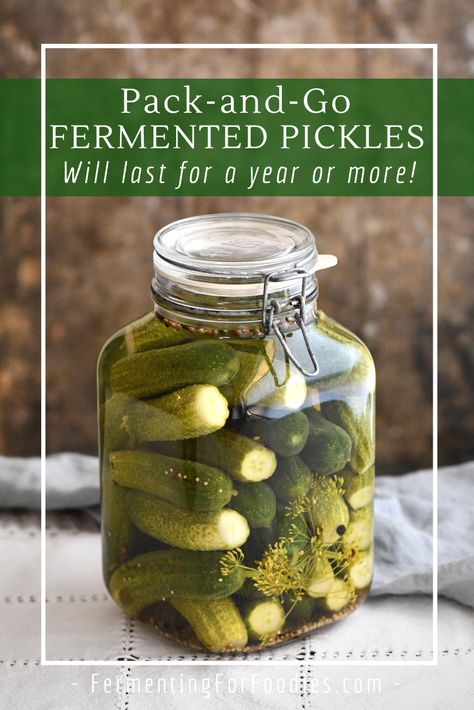 Fermented Pickles Recipe, Fermented Dill Pickles, Lacto Fermented Pickles, Easy Dill Pickles, Fermented Vegetables Recipes, Lacto Fermented, Fermented Veggies, Dark Cool, Fermented Pickles