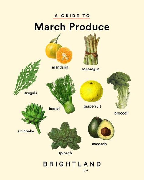 All Posts • Instagram March Produce, Seasonal Produce Guide, Homemade Cookbook, Happy March, Champagne Vinegar, Seasonal Cooking, Lemon Olive Oil, Seasonal Produce, Love Simple