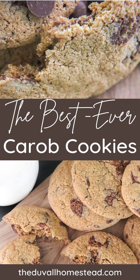 Aip Carob Cookies, Carob Cookie Recipes, Carob Powder Recipes, Carob Chips Recipes, Carob Chip Cookies, Gf Deserts, Carob Recipes, Carob Chocolate, Aip Baking