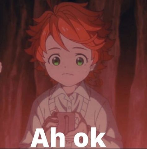 Ray Tpn, Funny Cute Memes, Spanish Memes, Memes Anime, Reaction Pics, Promised Neverland, Anime Stickers, Cute Memes, Big Hero