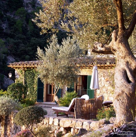 Albellons Parc Natural - das schönste Stück Mallorca - ...genau meine Welt! Casa Country, Mediterranean Garden, Olive Trees, Mediterranean Homes, Stone Houses, Village Houses, Island Home, Stone House, Dream Home Design