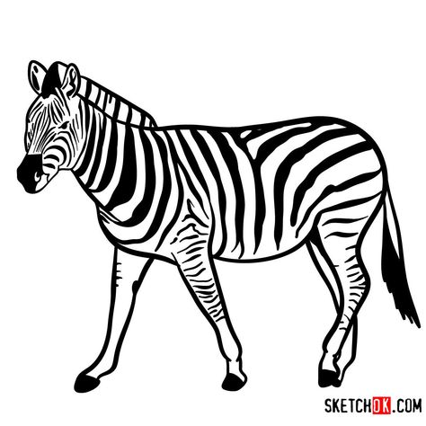 How to draw a Zebra | Wild Animals Marty Madagascar, Zebra Sketch, Zebra Images, Baby Zebra Drawing, Zebra Drawing, Fruit Coloring, Zebra Face, Bird Outline, Sketch Images