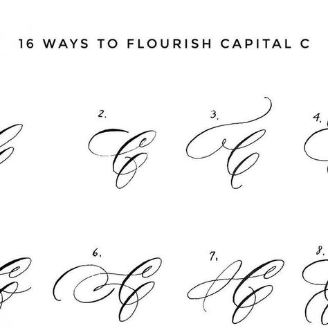 Isobel Hsu on Instagram: "16 ways to flourish capital C  #flourish #flourishing #flourishforum #calligraphywreath #flourishingstyle #calligraphyhub #西洋書法 #英文書法 #flourishedvariations" 16 Ways To Flourish Capital, Letter C Calligraphy, Calligraphy Wreath, Capital C, Flourish Calligraphy, Art Letters, Lettering Art, Hand Lettering Art, Calligraphy Quotes