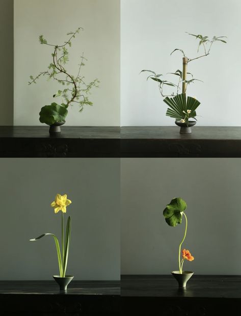 Japanese Bonsai Tree, Floral Art Arrangements, Flower Boquet, Japanese Bonsai, Ikebana Arrangements, Ikebana Flower Arrangement, Flower Arrangements Simple, Vase Arrangements, Japanese Flowers