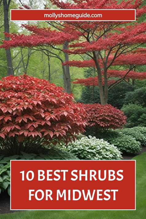 Discover the best shrubs for Midwest gardens to enhance your outdoor space! From native shrubs to privacy shrubs, we've got you covered. Create a low-maintenance garden with easy-care plants that thrive in the Midwest climate. Whether you're looking for early blooming shrubs or ornamental grasses, we have a variety of options that are perfect for full sun areas. Attract pollinators to your garden with these beautiful shrubs that will flourish in the Midwest. Midwest Garden Design, Midwest Native Landscaping, Midwest Landscaping, Full Sun Landscaping Ideas, Shrubs Landscaping, Privacy Shrubs, Blooming Shrubs, Midwest Garden, Shrub Garden