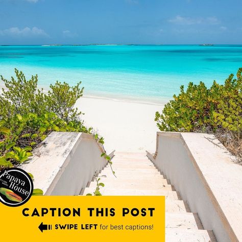 Papaya House Exuma on Instagram: “Thanks for all the great caption suggestions! SWIPE LEFT for the winners...and keep them coming in the comments. Look for the next…” Cool Captions, Papaya, The Next, Water, Books, On Instagram, Instagram